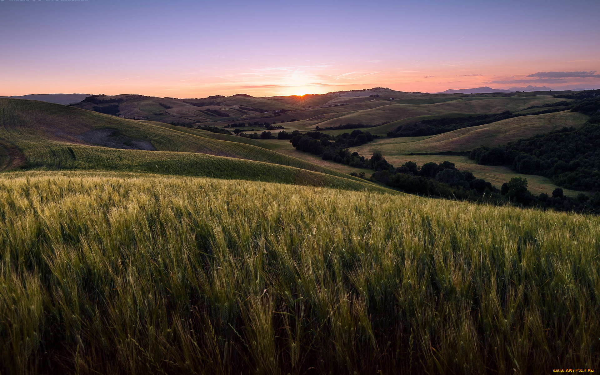 , , , tuscany, volterra, 